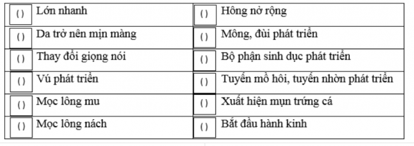 1594351006-29png.png
