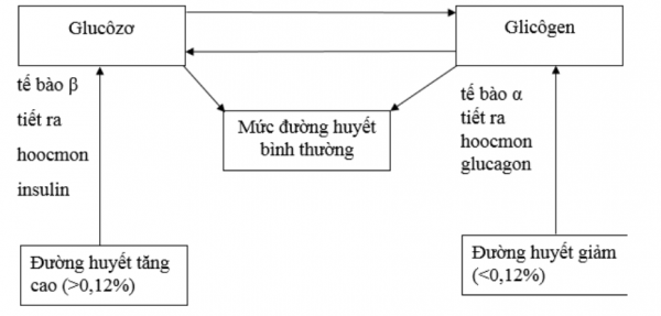 1594351120-30png.png