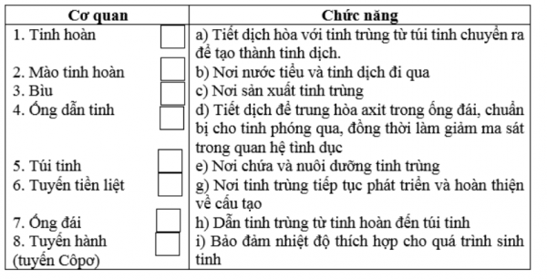 1594351235-31png.png