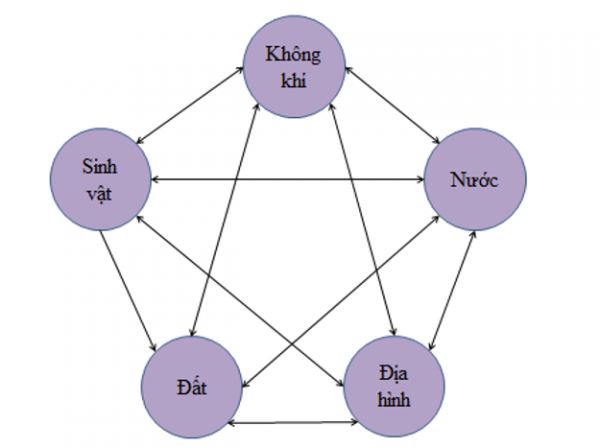 1594449786-25png.png