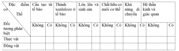 1594521794-42png.png