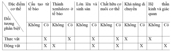 1594521828-43png.png