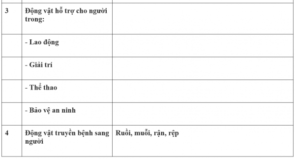 1594522187-8png.png