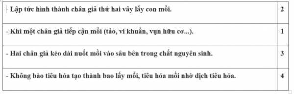 1594522960-22png.png