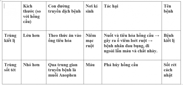 1594523345-28png.png
