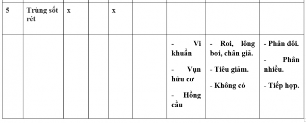 1594523550-32png.png