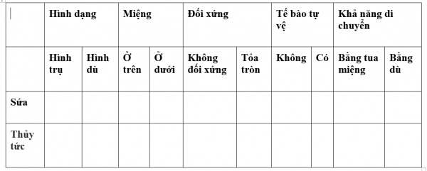 1594523911-36png.png