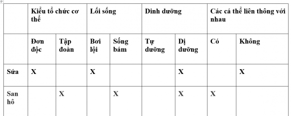 1594524036-39png.png