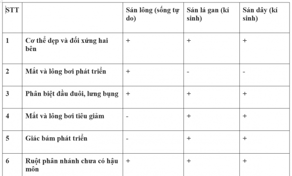 1594524523-48png.png