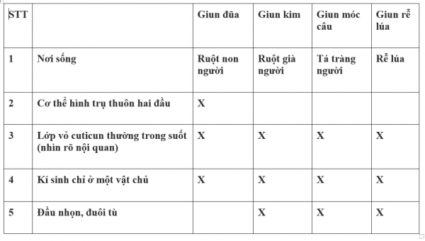 1594524844-52png.png