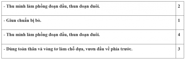 1594524939-53png.png