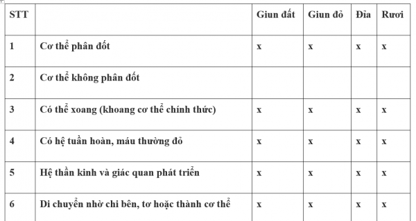 1594525240-58png.png