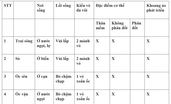 1595208293-3png.png