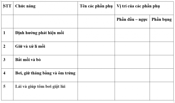 1595208648-9png.png