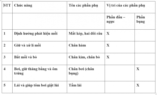 1595208694-10png.png