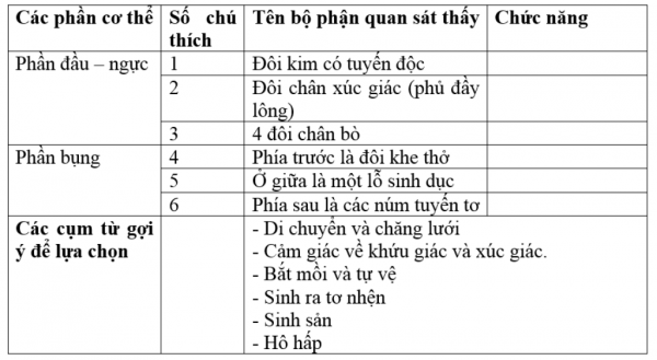 1595209043-13png.png