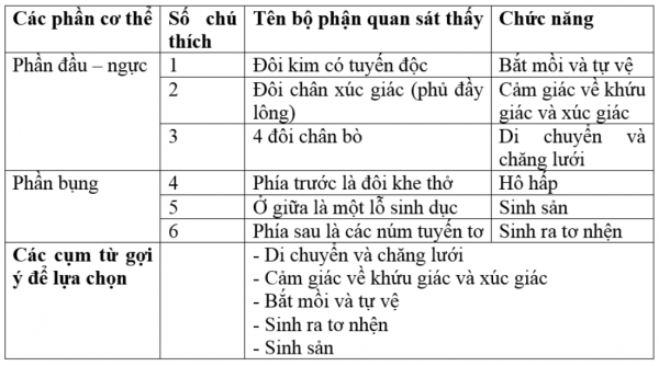 1595209070-14png.png