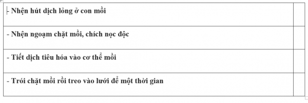 1595209226-17png.png