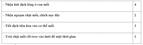 1595209274-18png.png