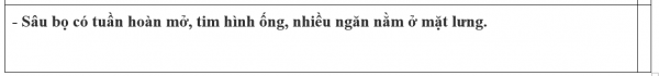 1595210039-24png.png