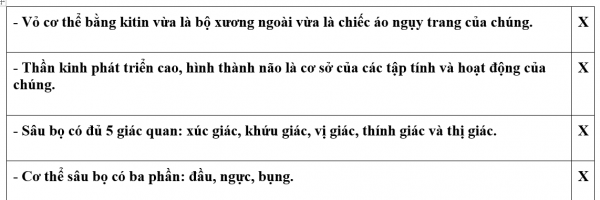 1595210096-25png.png