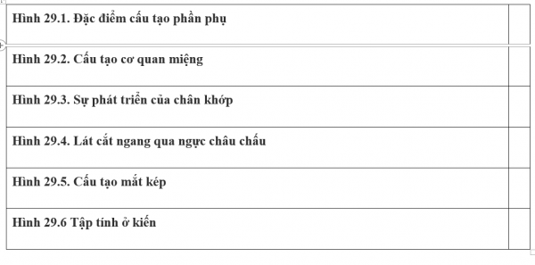1595210405-31png.png