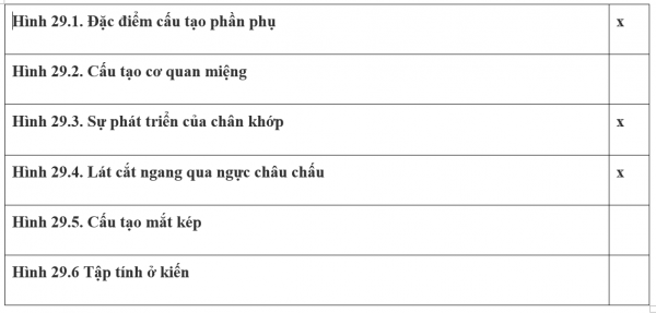 1595210452-32png.png