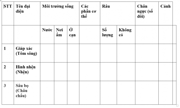 1595210506-33png.png