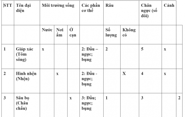 1595210565-34png.png