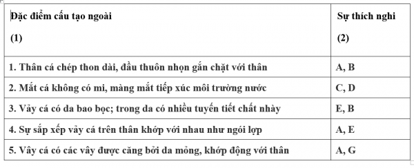 1595211135-1png.png