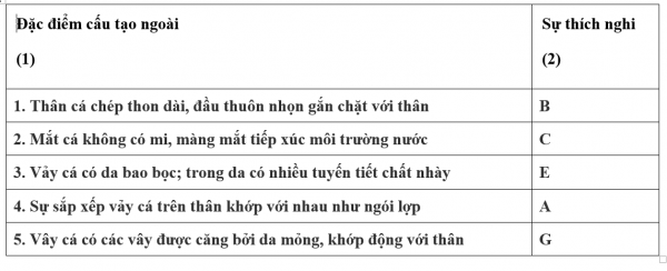 1595211173-2png.png