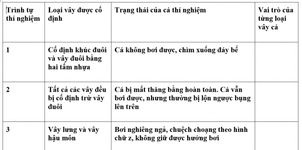 1595211282-3png.png