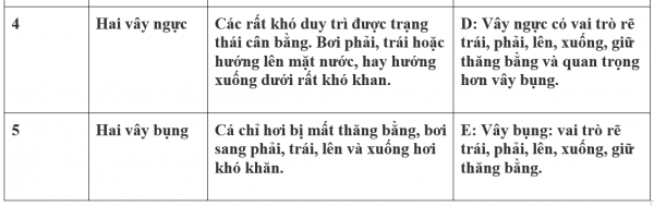 1595211367-6png.png