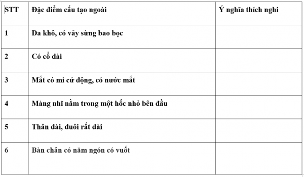 1595212225-17png.png