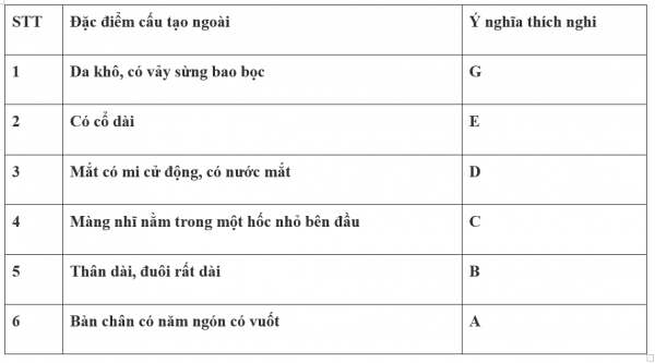 1595212263-18png.png