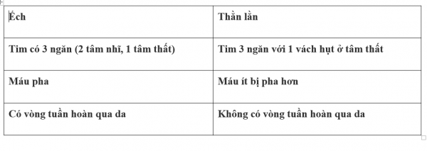1595212466-21png.png