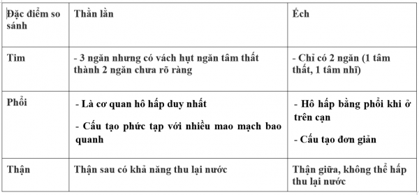 1595212532-22png.png