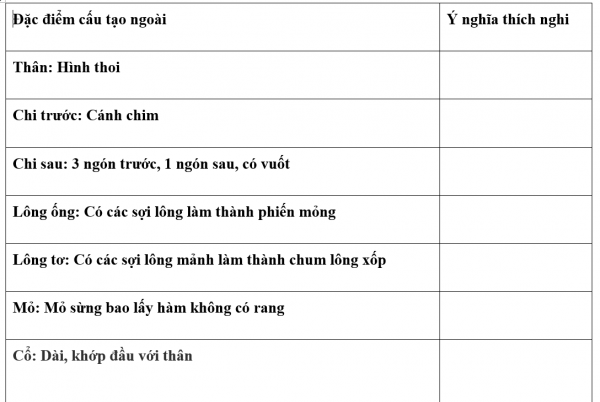 1595212709-23png.png