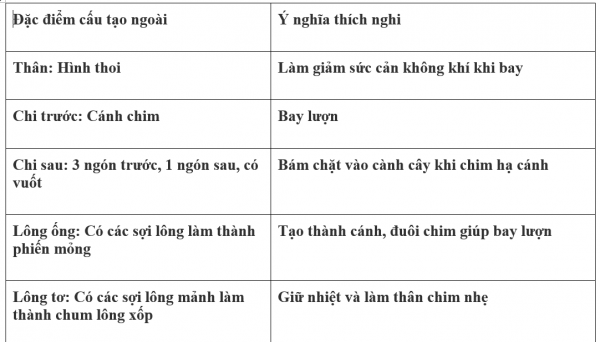 1595212764-24png.png