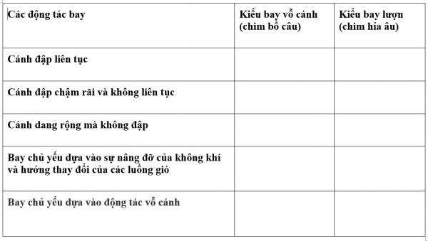 1595212823-26png.png