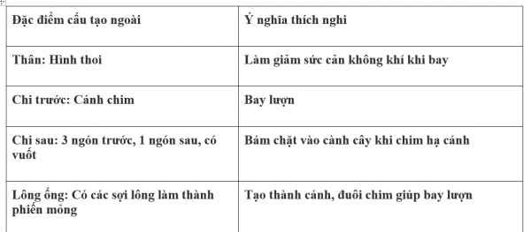 1595212959-28png.png