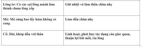 1595212968-29png.png