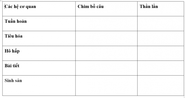 1595213155-32png.png