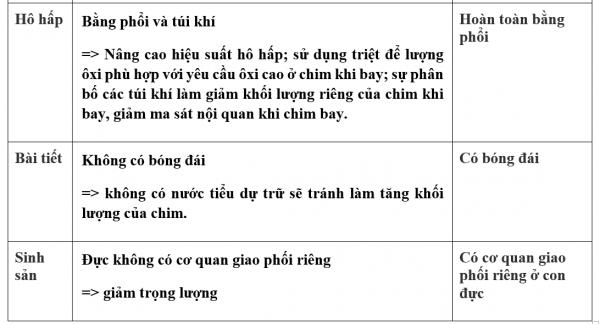 1595213221-34png.png