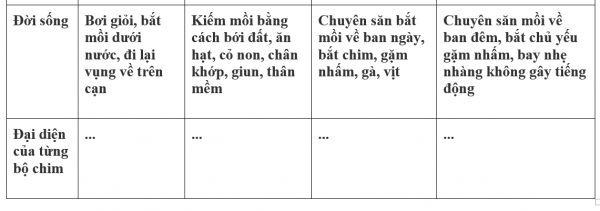1595213321-36png.png