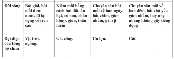 1595213383-38png.png