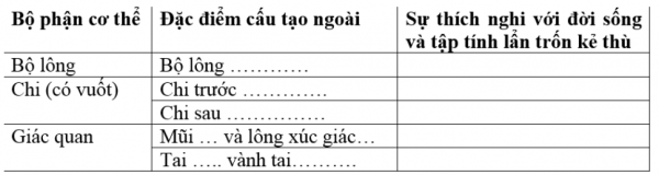 1595213498-1png.png