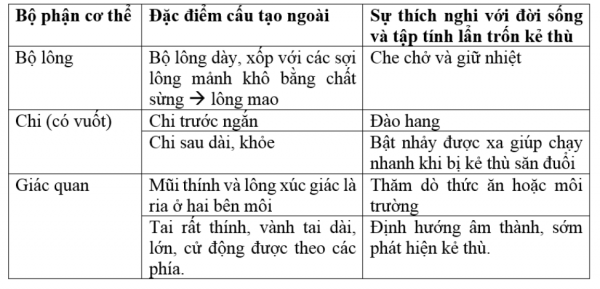 1595213519-2png.png