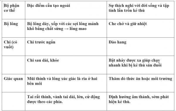1595213594-3png.png