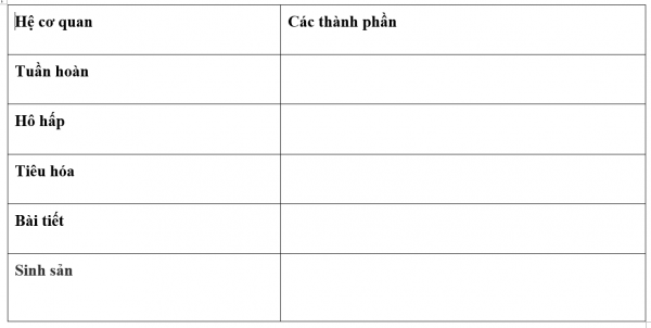 1595213774-6png.png